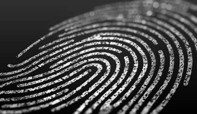 Digital Fingerprint