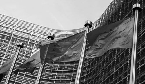 EU flags