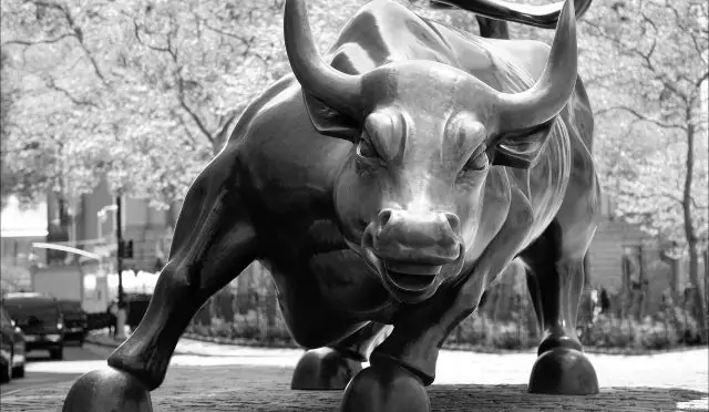 The Bulls