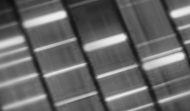 DNA