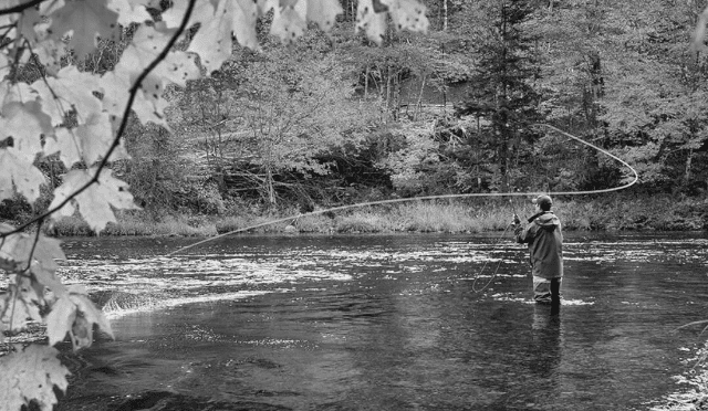 Angling in North Wales